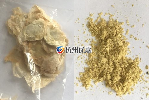 如何利用宋慈高通量多樣品組織研磨儀研磨植物組織？